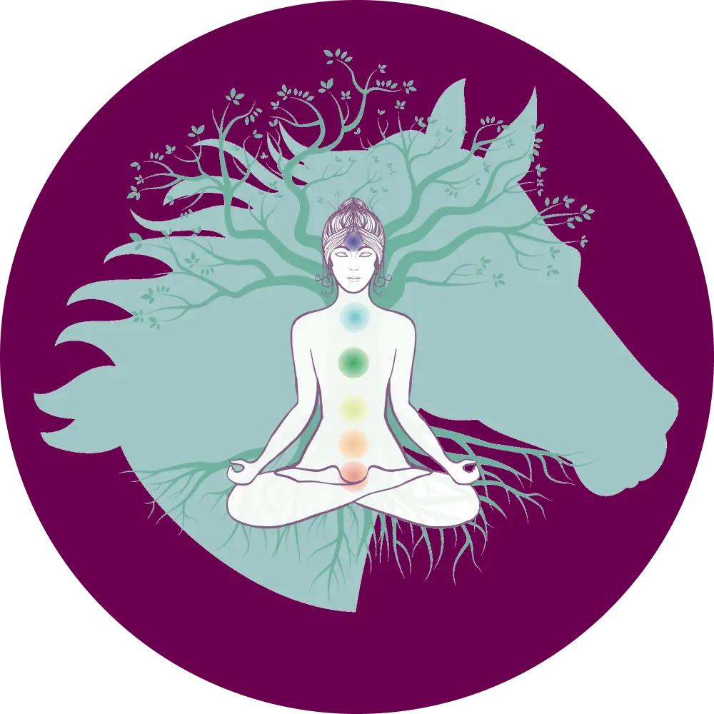 Icone du logo Cheval Plaine Conscience représentant une silhouette d'un cheval formée par des branches d'arbre avec une personne méditant en position de lotus au centre et des chakras colorés alignés sur son corps.