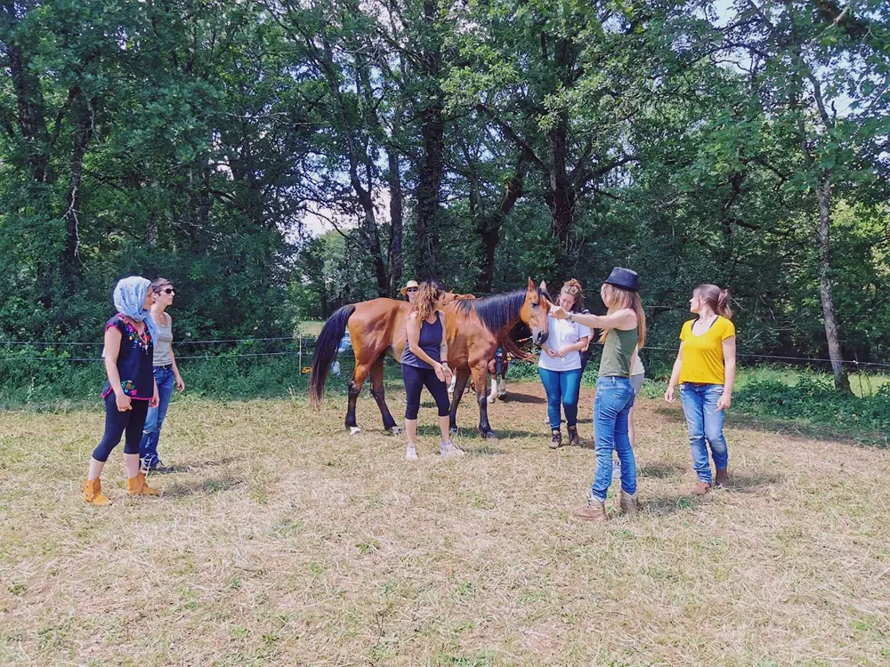 Groupe de six femmes entourant un cheval marron dans un pré avec des arbres en arrière-plan.