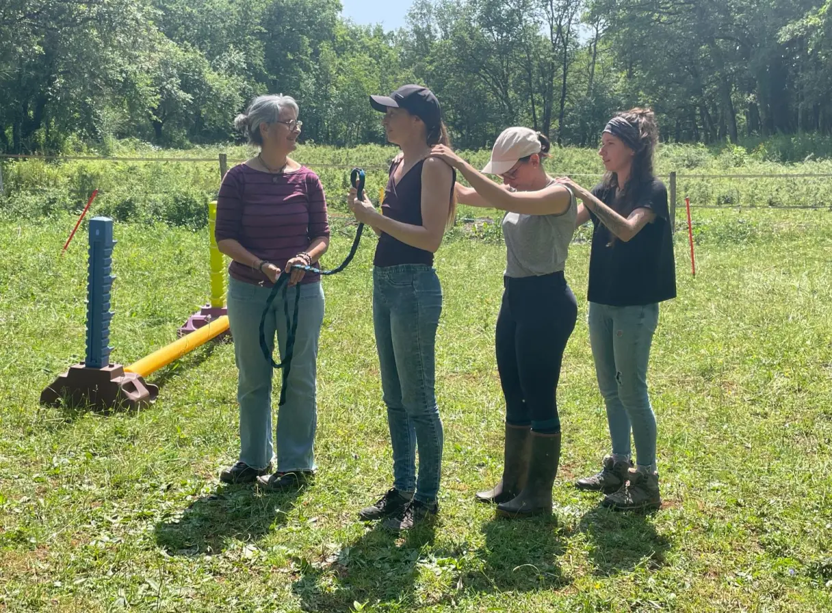 Quatre femmes debout dans un champ herbeux avec des arbres en arrière-plan, l'une tenant une longe, deux autres massent les épaules de la personne devant elles.