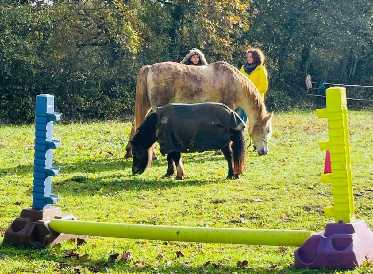 Une jument et un poney couvert pâturant dans un pré avec deux personnes debout en arrière-plan, un obstacle d'équitation jaune et bleu au premier plan.