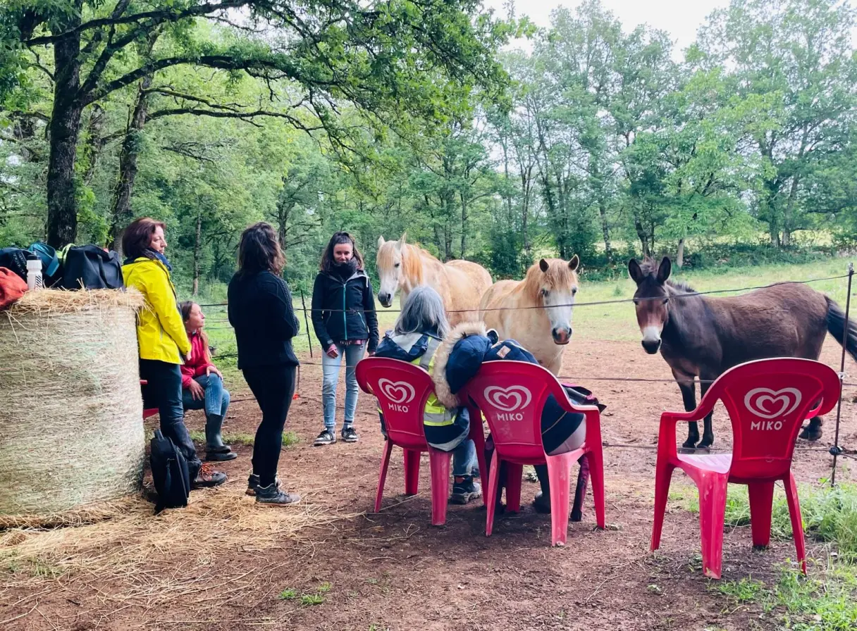 Groupe de personnes en plein air près de trois chevaux et un âne, avec des chaises rouges MIKO et une botte de foin à côté.