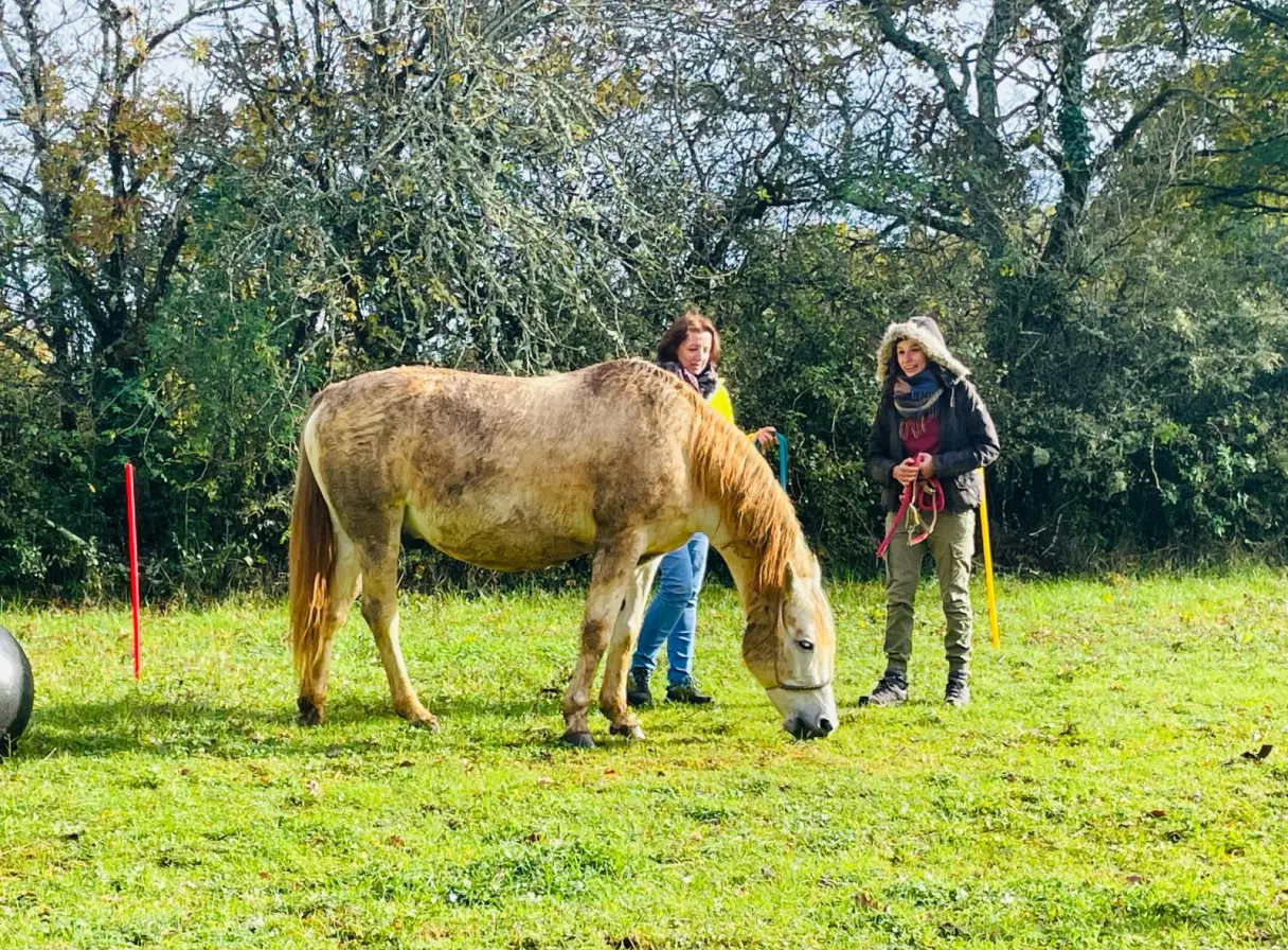 Deux femmes debout dans un champ vert avec un cheval brun clair qui broute.