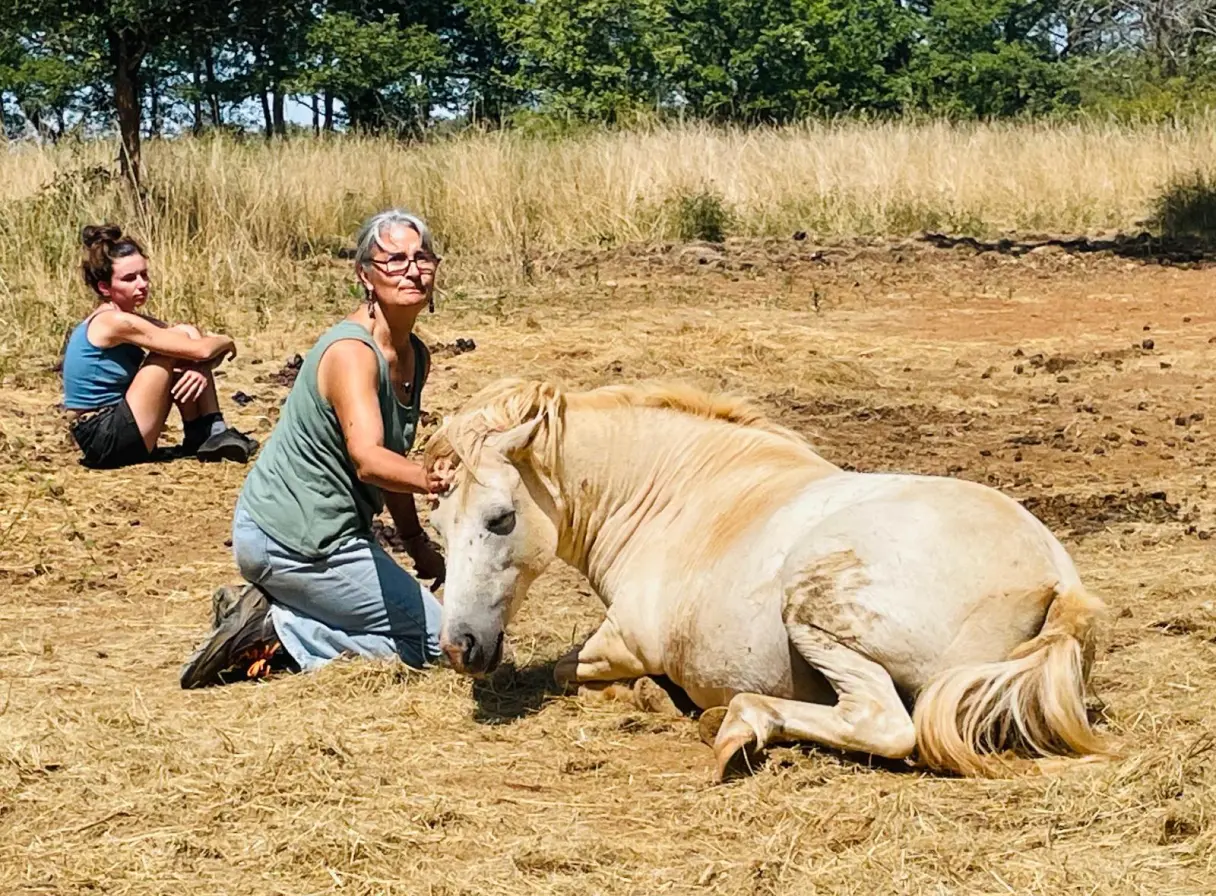 Femme agenouillée caressant la tête d'un cheval blanc couché dans un champ sec, avec une autre femme assise en arrière-plan.
