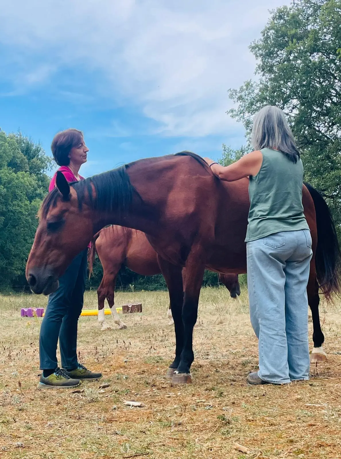 Deux femmes interagissent avec un cheval marron dans un champ herbeux sous un ciel partiellement nuageux.