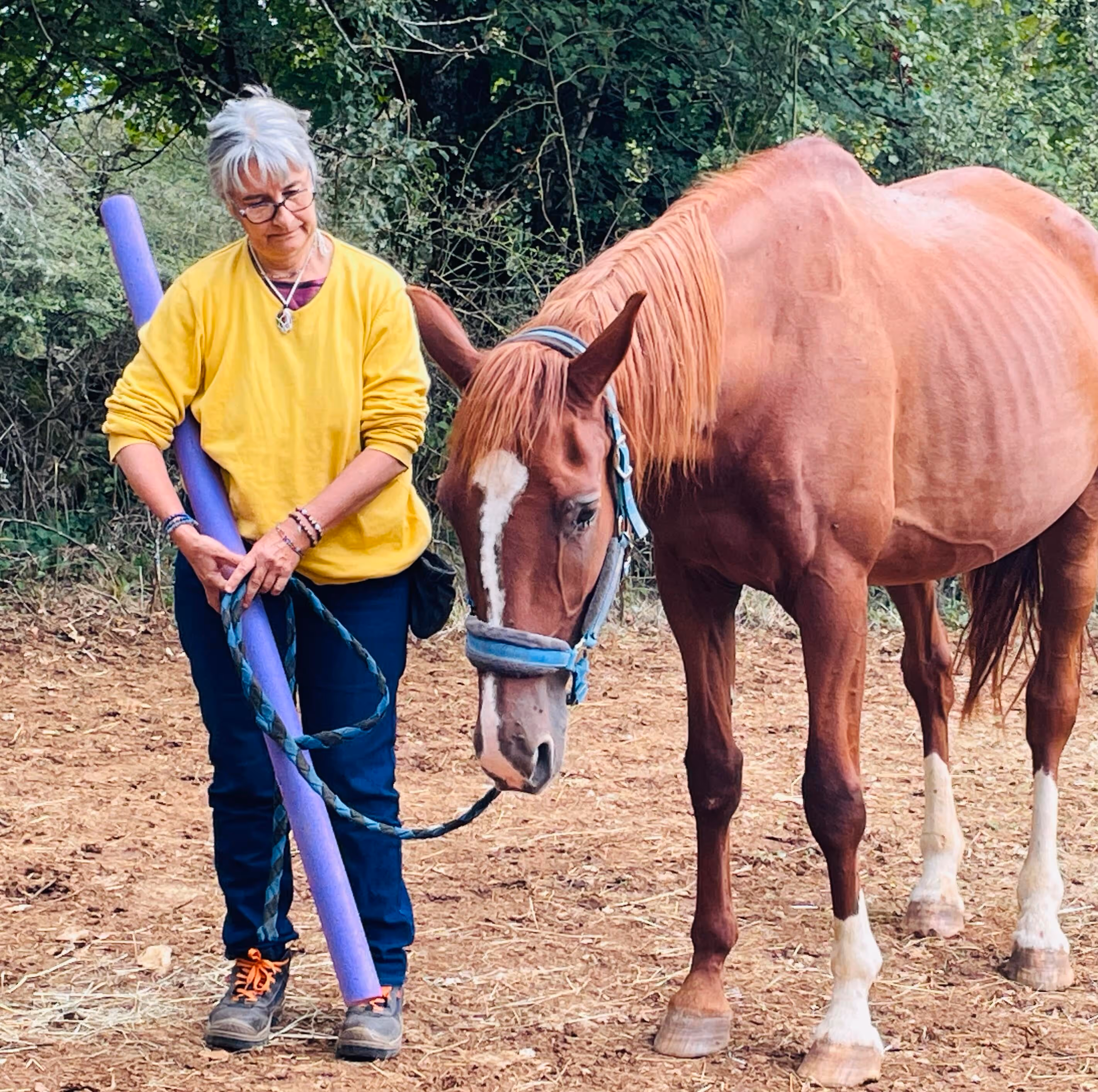 Femme aux cheveux gris en sweat jaune tenant une corde et un objet long violet à côté d'un cheval marron clair portant un licol bleu.