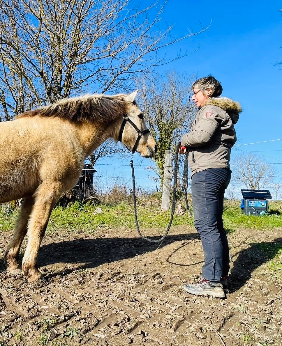 Une femme en veste beige avec capuche et pantalon noir tient la longe d'un cheval beige dans un champ sous un ciel bleu clair.