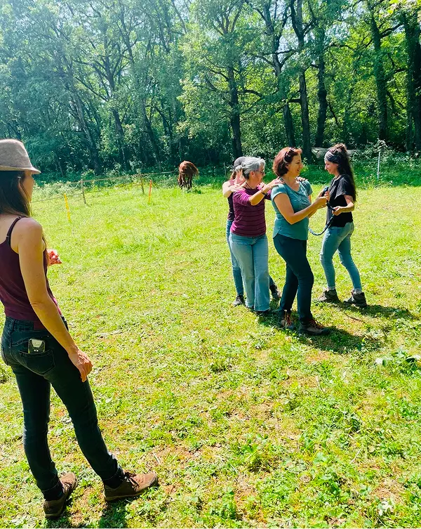 Quatre femmes en formation en plein air dans un champ herbeux avec une forêt en arrière-plan, une femme tient une longe de cheval.