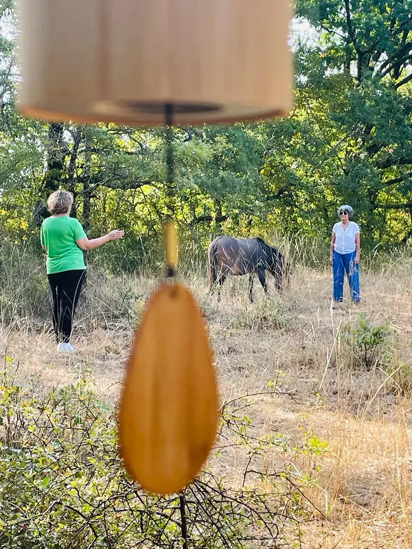 Deux femmes dans un champ avec un cheval marron au centre, un objet suspendu flou au premier plan.