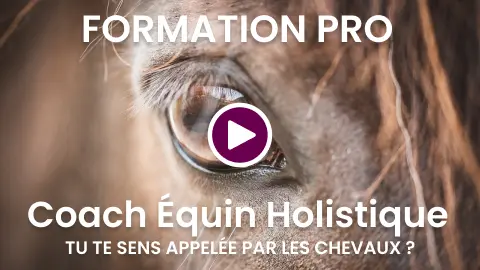 Miniature de vidéo représentant un gros plan d'un œil de cheval avec texte Formation Pro Coach Équin Holistique, tu te sens appelée par les chevaux ?