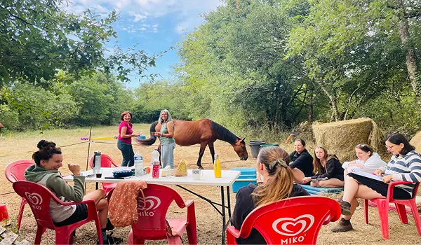Groupe d'élèves, durant la formation equicoach, assises autour d'une table blanche en plein air avec un cheval qui mange dans un cadre naturel boisé.