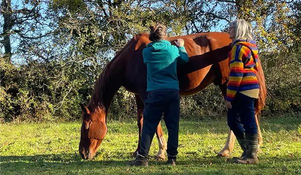 Deux femmes caressant un cheval alezan qui broute dans un champ herbeux sous un ciel bleu.