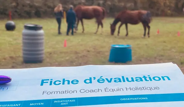 Fiche d'évaluation de formation coach équin holistique avec en arrière-plan un champ où deux chevaux bruns paissent et deux personnes discutent.
