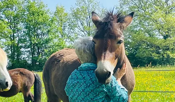 Une femme aux cheveux gris en veste bleue serre un cheval brun dans un champ fleuri avec d'autres chevaux en arrière-plan.