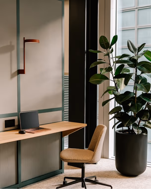 Minimalist office corner with a wooden desk holding a closed laptop and mouse, a beige swivel chair, and a large potted plant near a window.