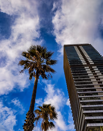 Two tall palm trees next to a modern high-rise building under a partly cloudy blue sky.
