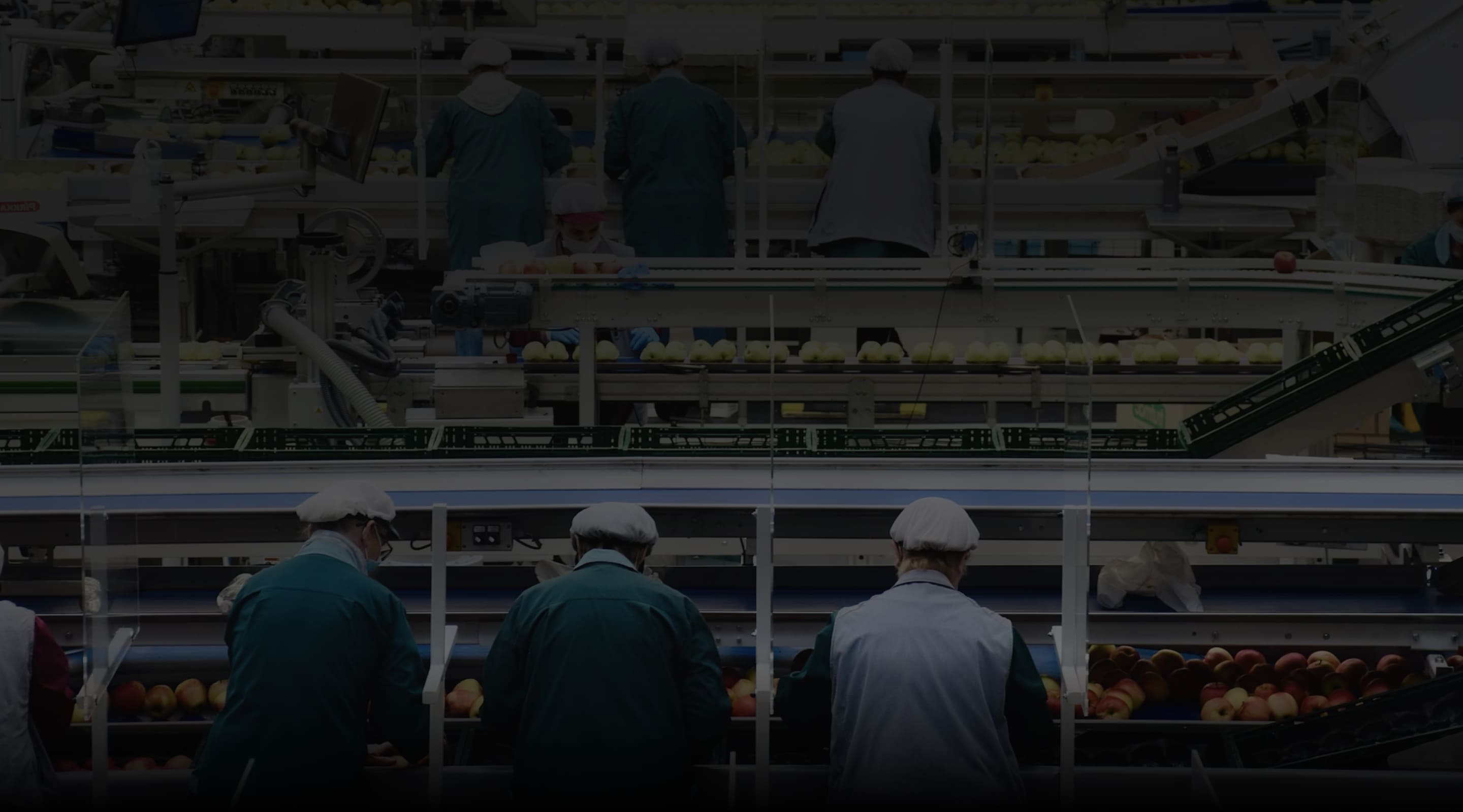 Workers in a food factory 