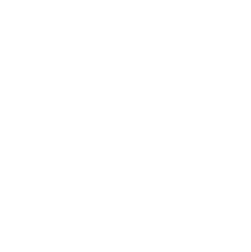 Whats App Logo