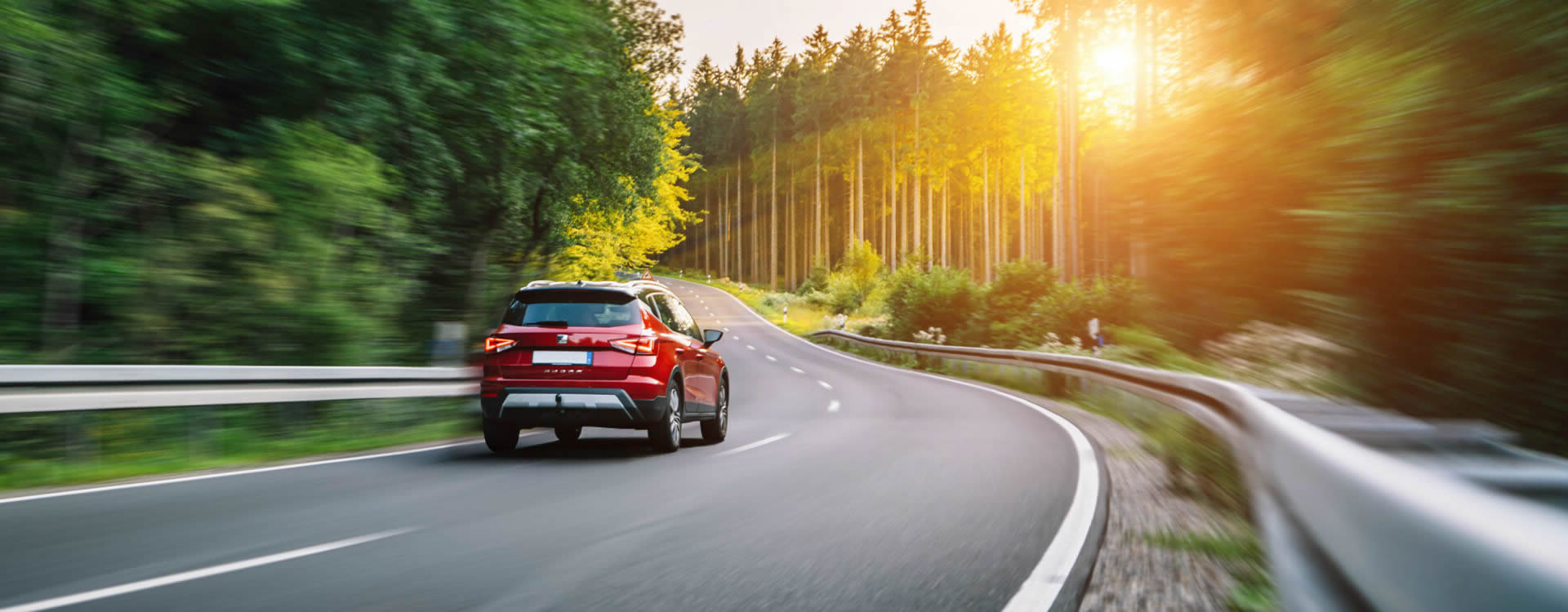 image of guitar rack