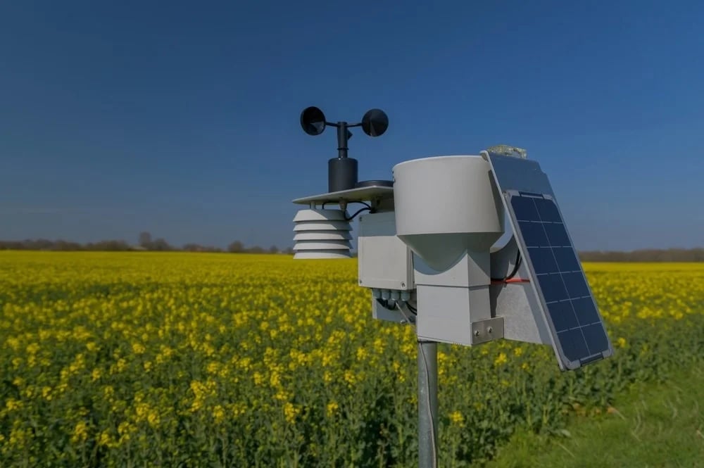 Weather station with solar panel mounted on a pole in a yellow flower field under a clear blue sky.