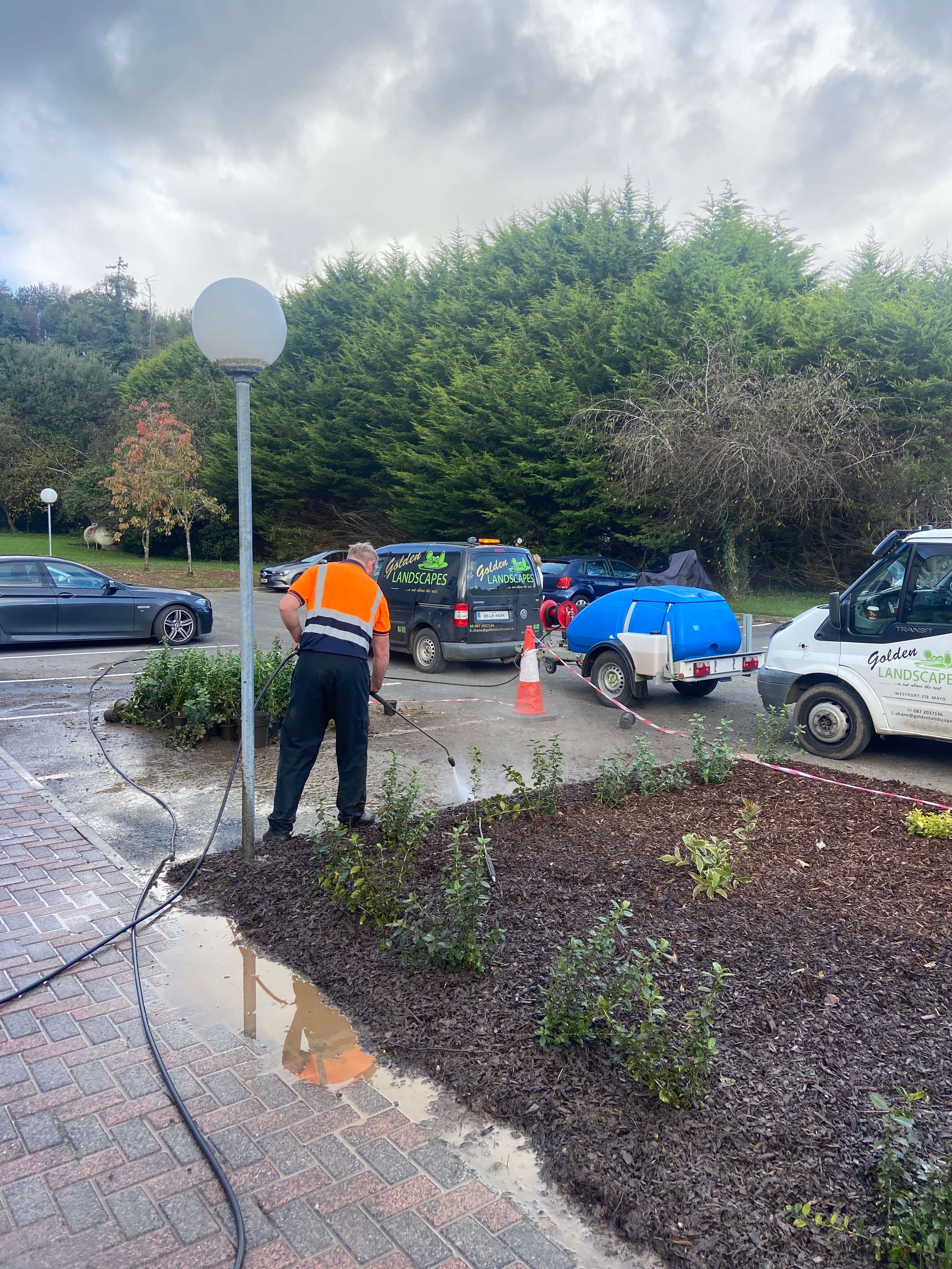 Worker in an orange high-visibility vest watering plants with a hose in a landscaped area near parked Golden Landscapes vans.
