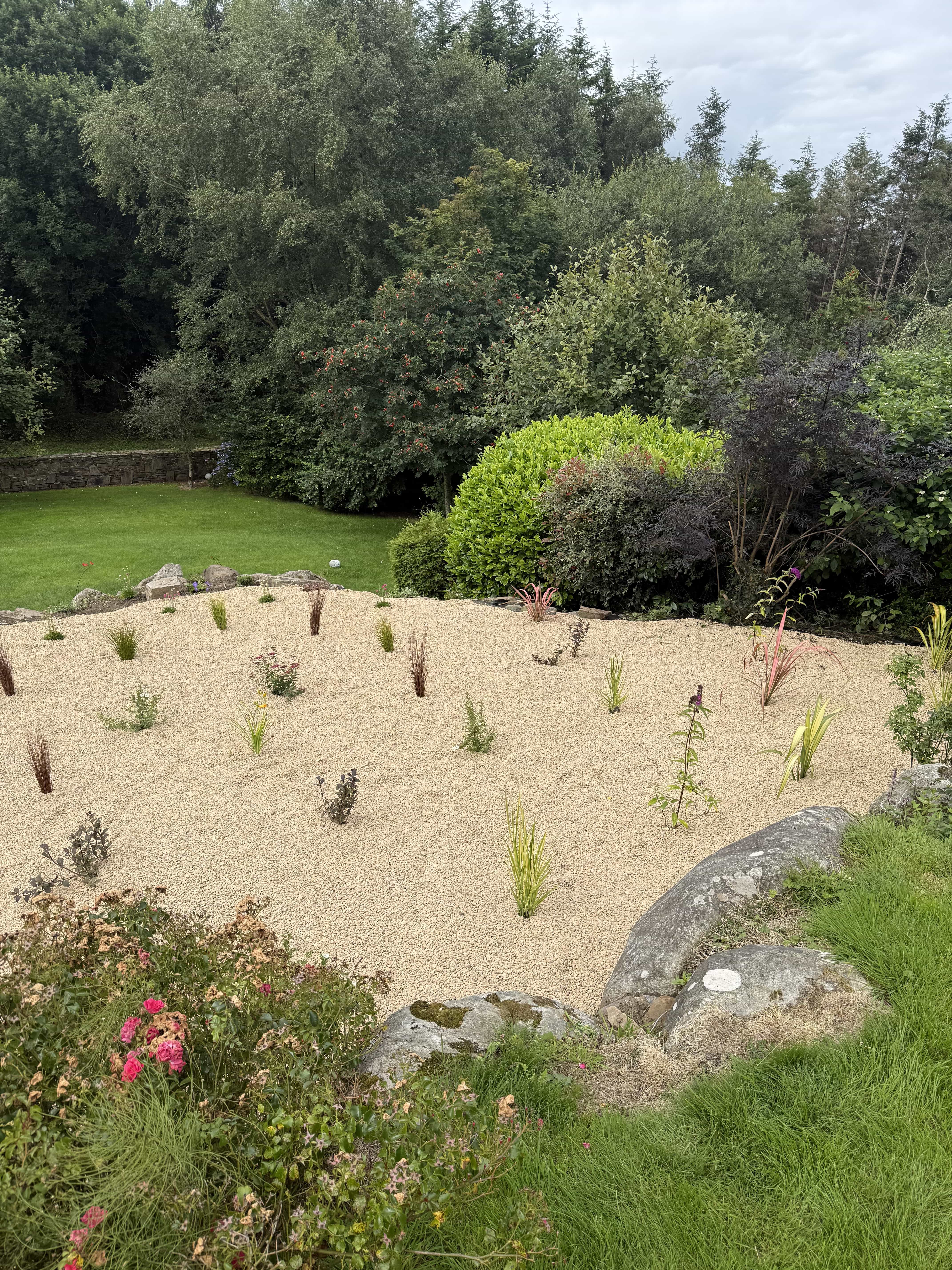 Garden with a gravel bed containing sparse plants, surrounded by green grass, flowering bushes, and trees under a cloudy sky.
