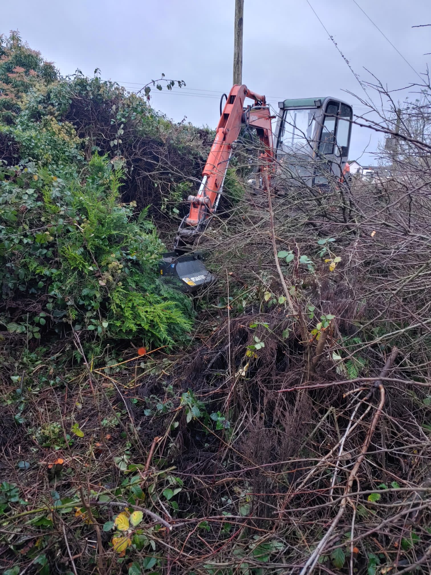 Small orange excavator clearing dense bushes and branches on a hillside under an overcast sky.