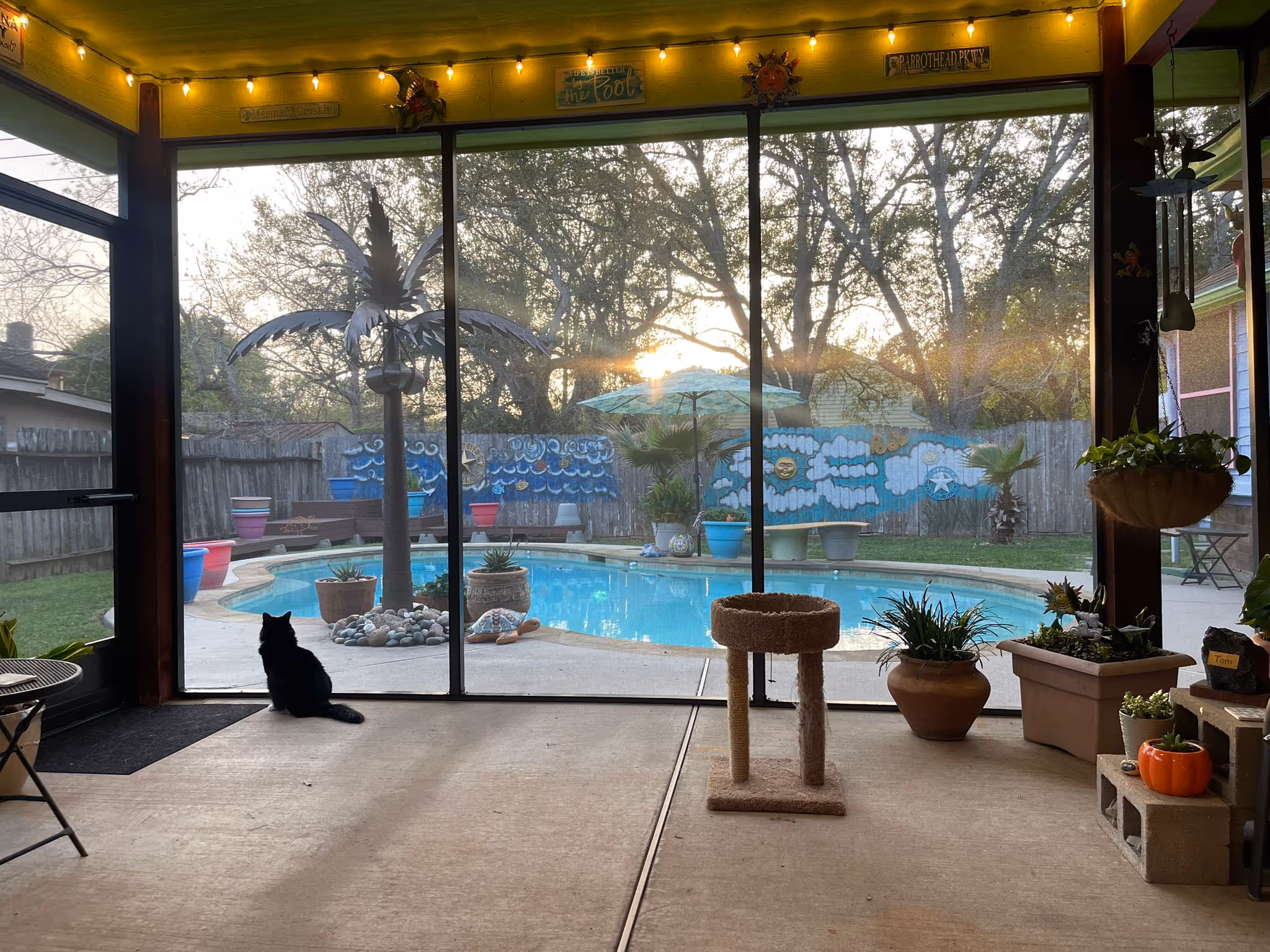 Patio overlooking a swimming pool with a metal palm tree sculpture, colorful potted plants, and a black cat sitting on the floor near the glass door at sunset.