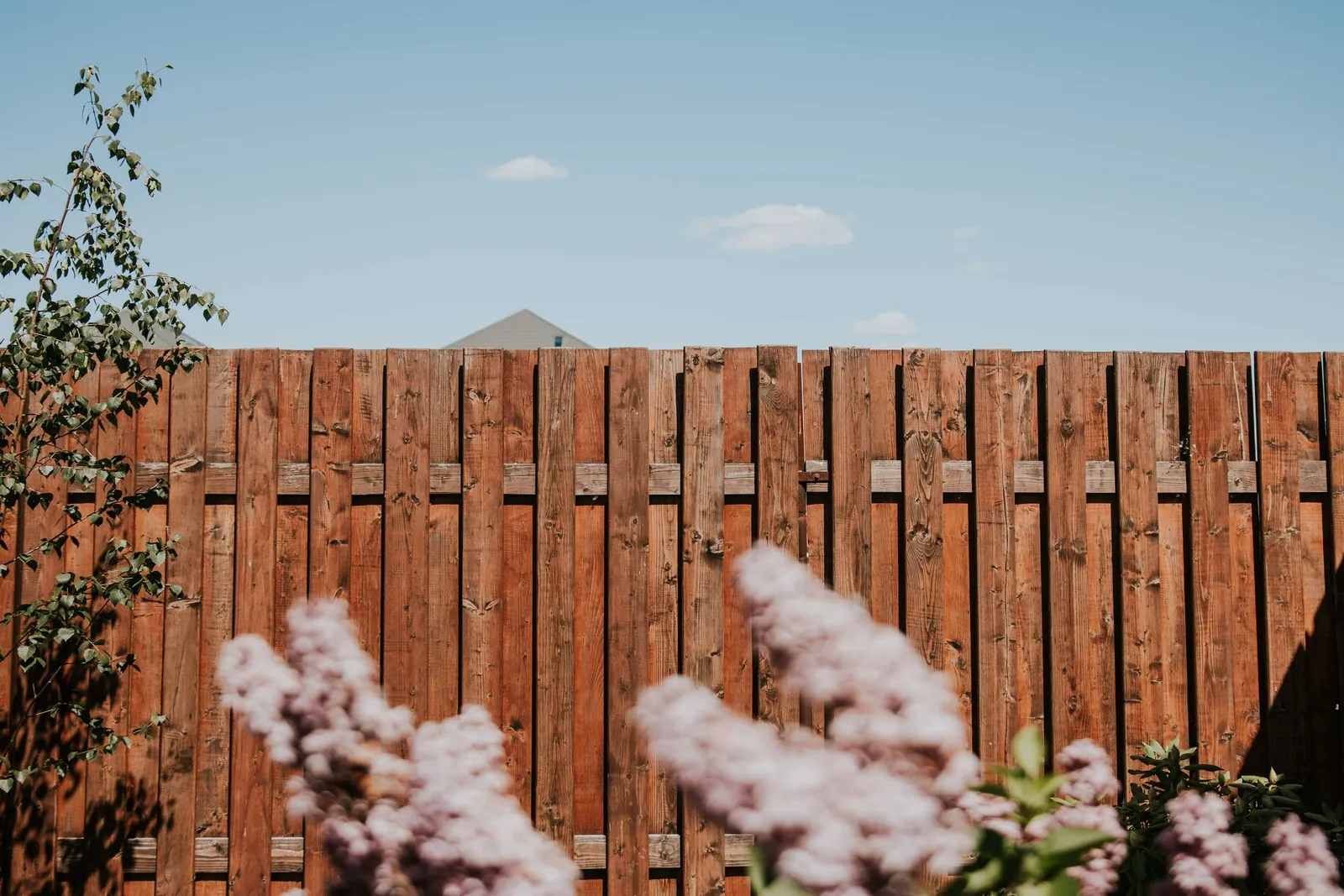 Wooden privacy fence with a house roof behind it and lilac flowers in the foreground.