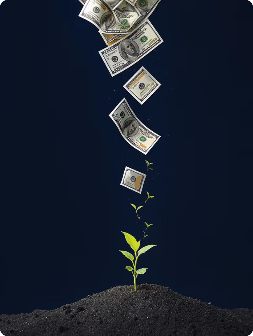 Des billets de banque tombent vers une jeune plante verte poussant dans un sol noir sur fond sombre.