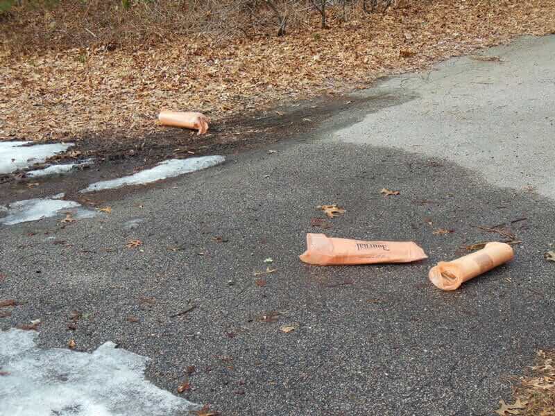 newspapers by the road