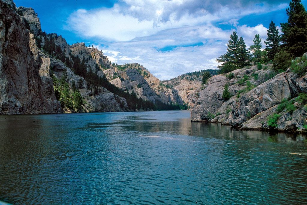 real estate passive income