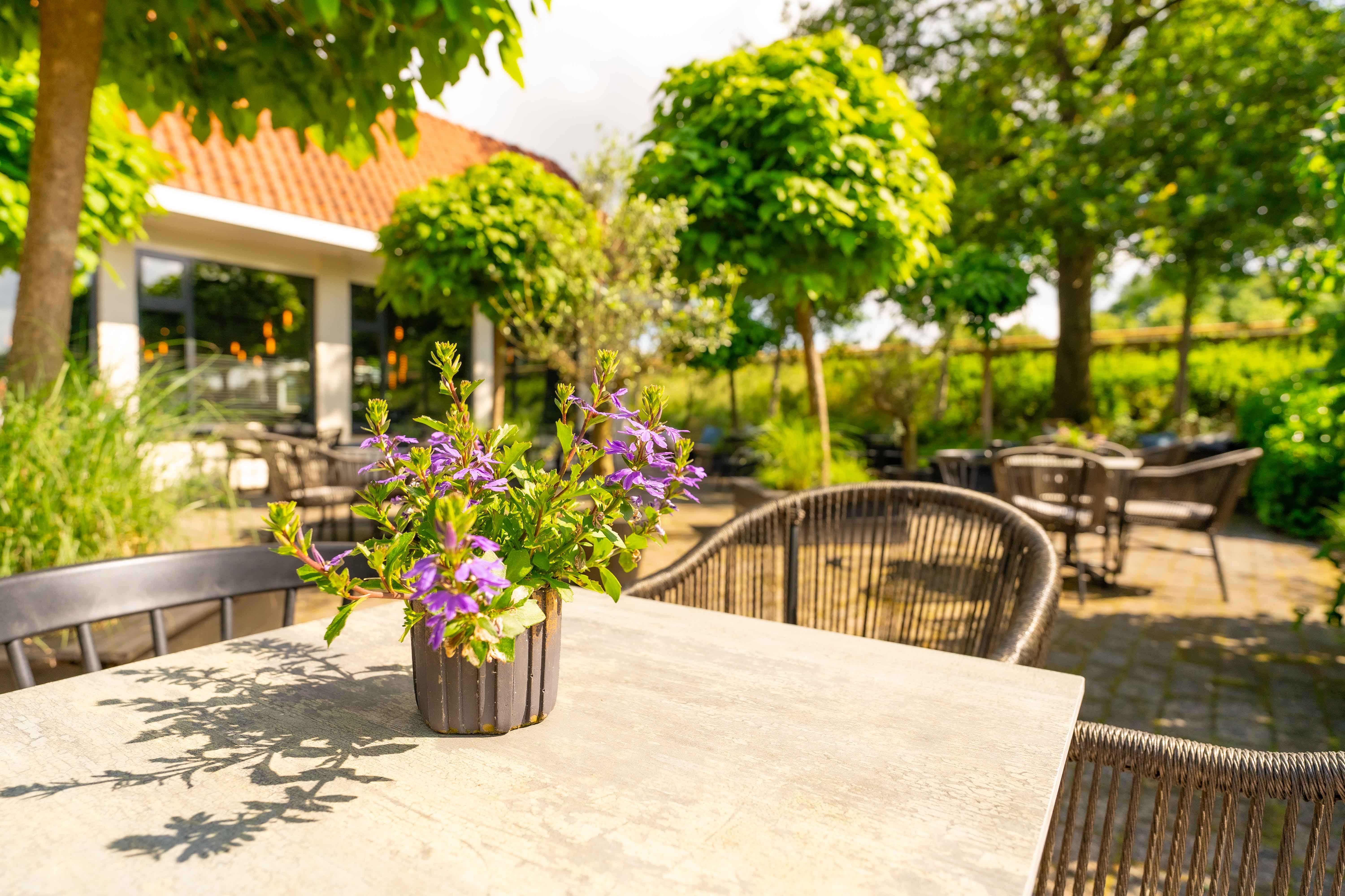 Bloemenvaas met paarse bloemen op een tafel in een zonnig terras met rieten stoelen en groene bomen.