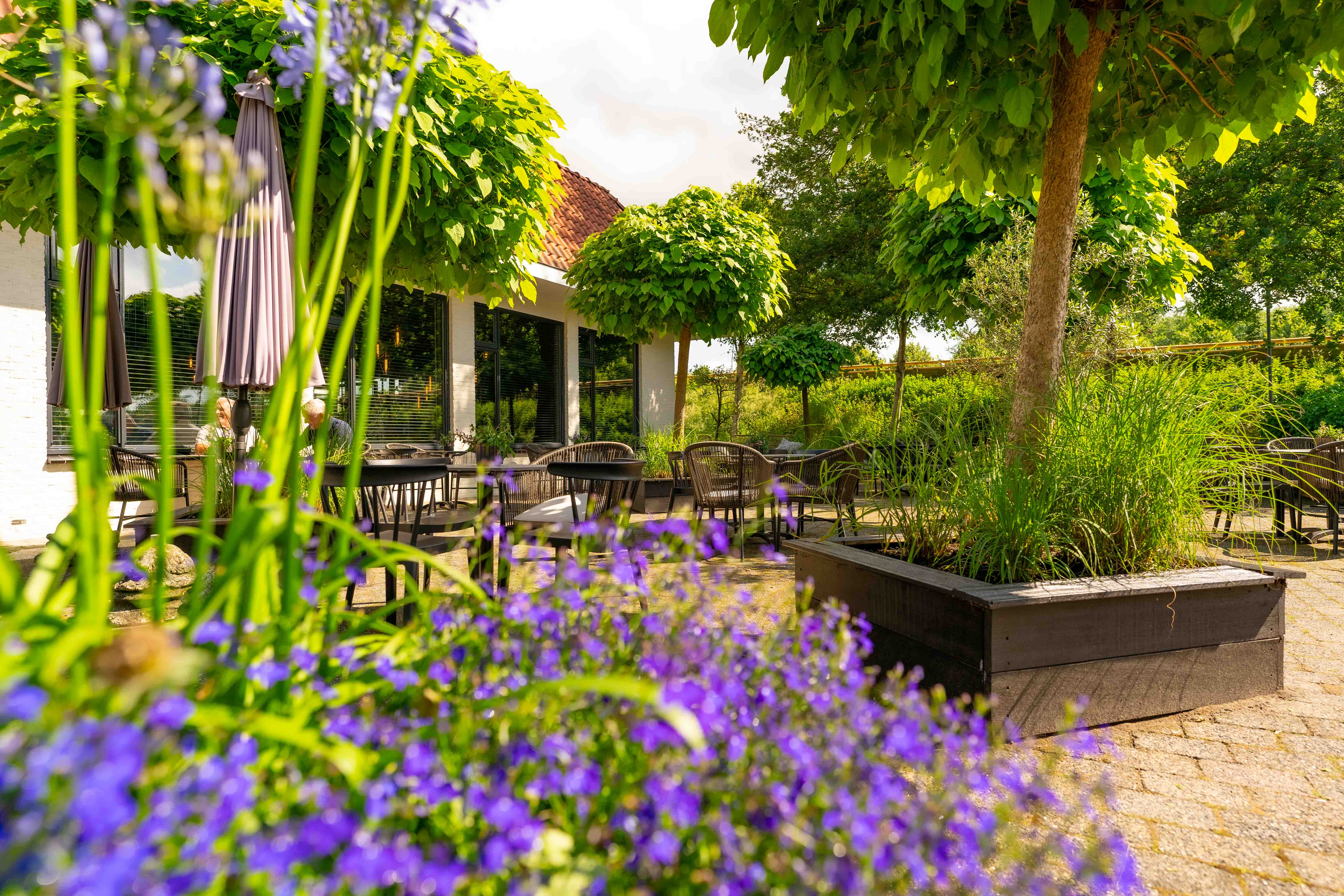 Terras met tafels en stoelen omringd door groene bomen, bloeiende paarse bloemen en struiken bij een wit gebouw.