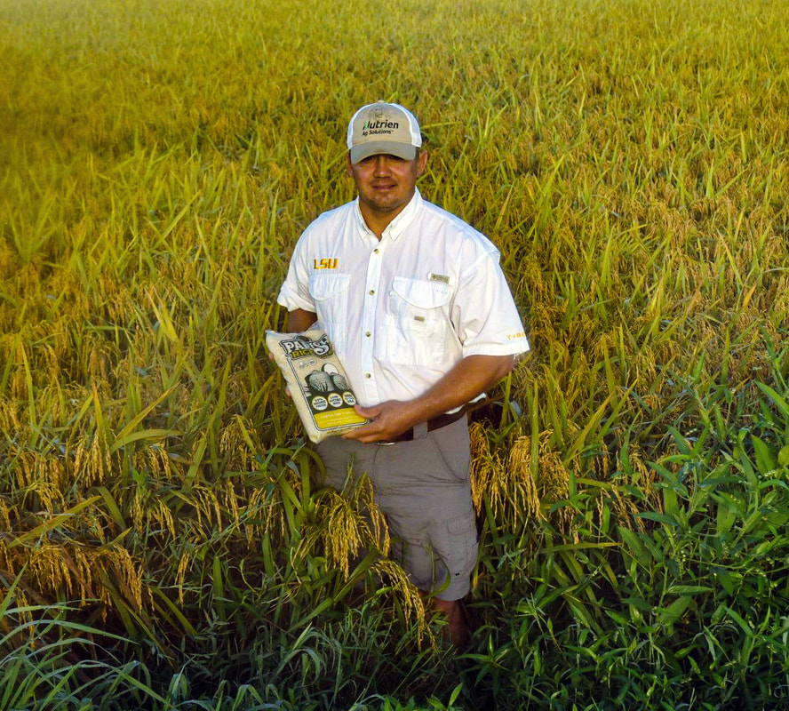 Man in a white LSU shirt and Nutrien cap standing in a rice field holding a bag of Parsley Rice.