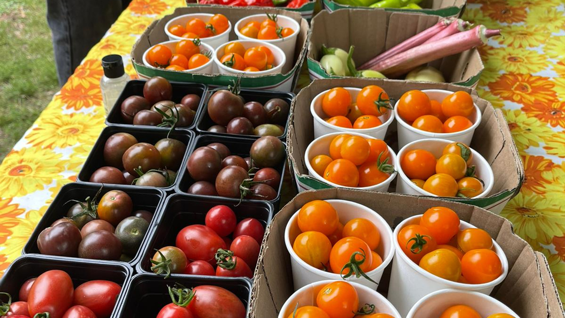 Variety of produce on market table