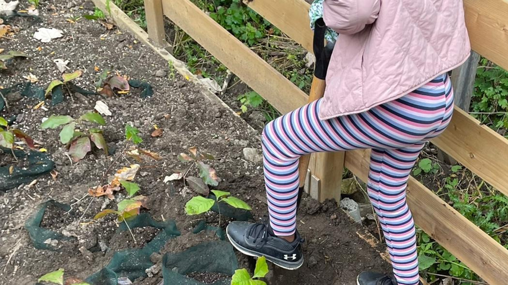 Winchester student planting oak seedlings in Tree Nursery