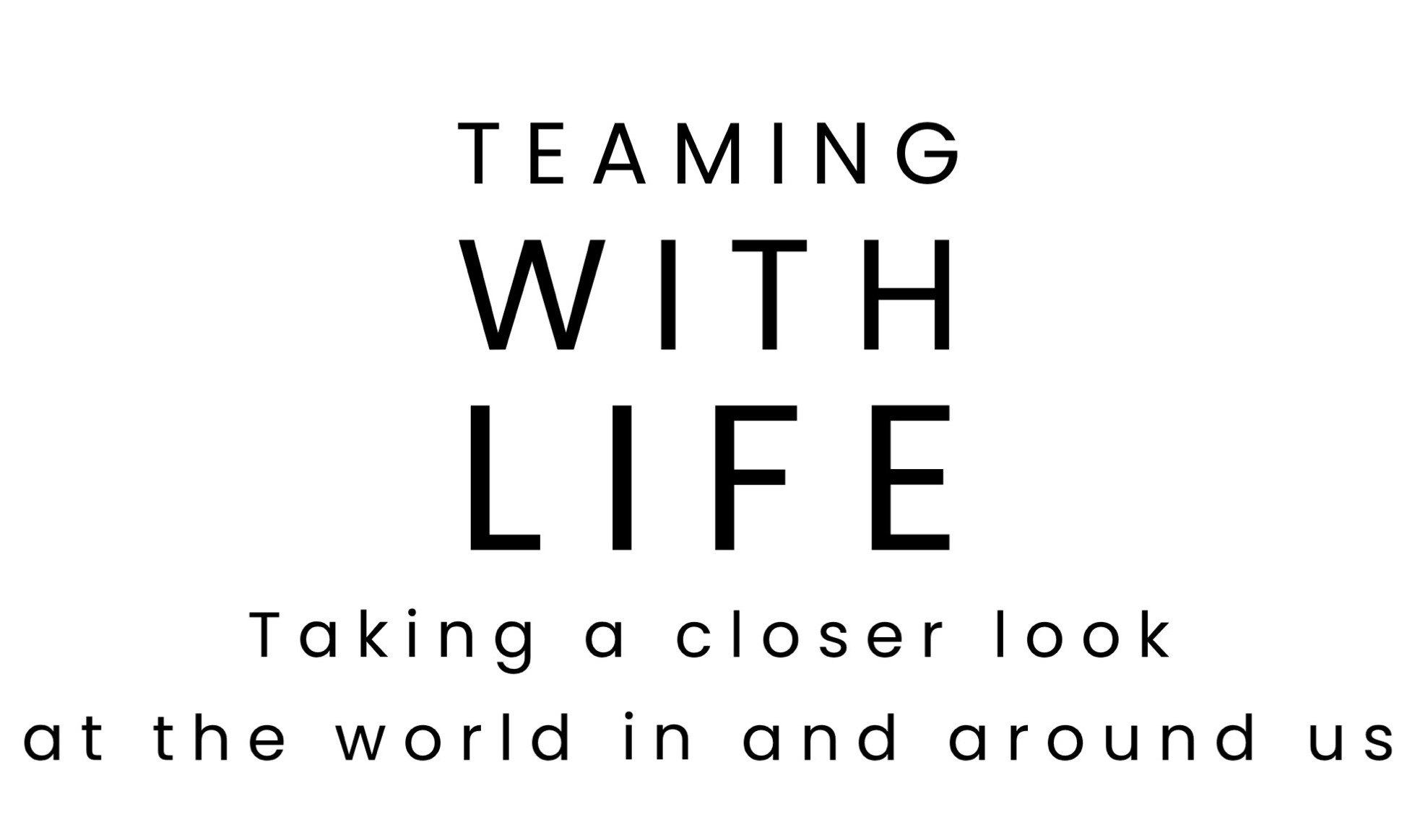 Blog Image
