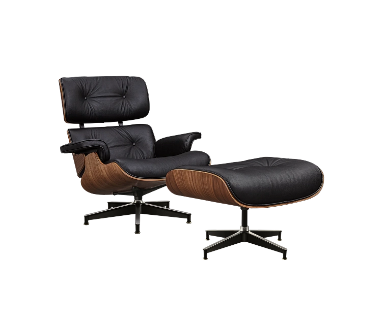 Eames Lounge Chair and Ottoman