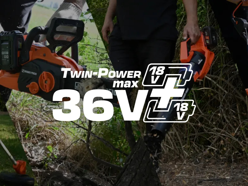 36V Twin Power