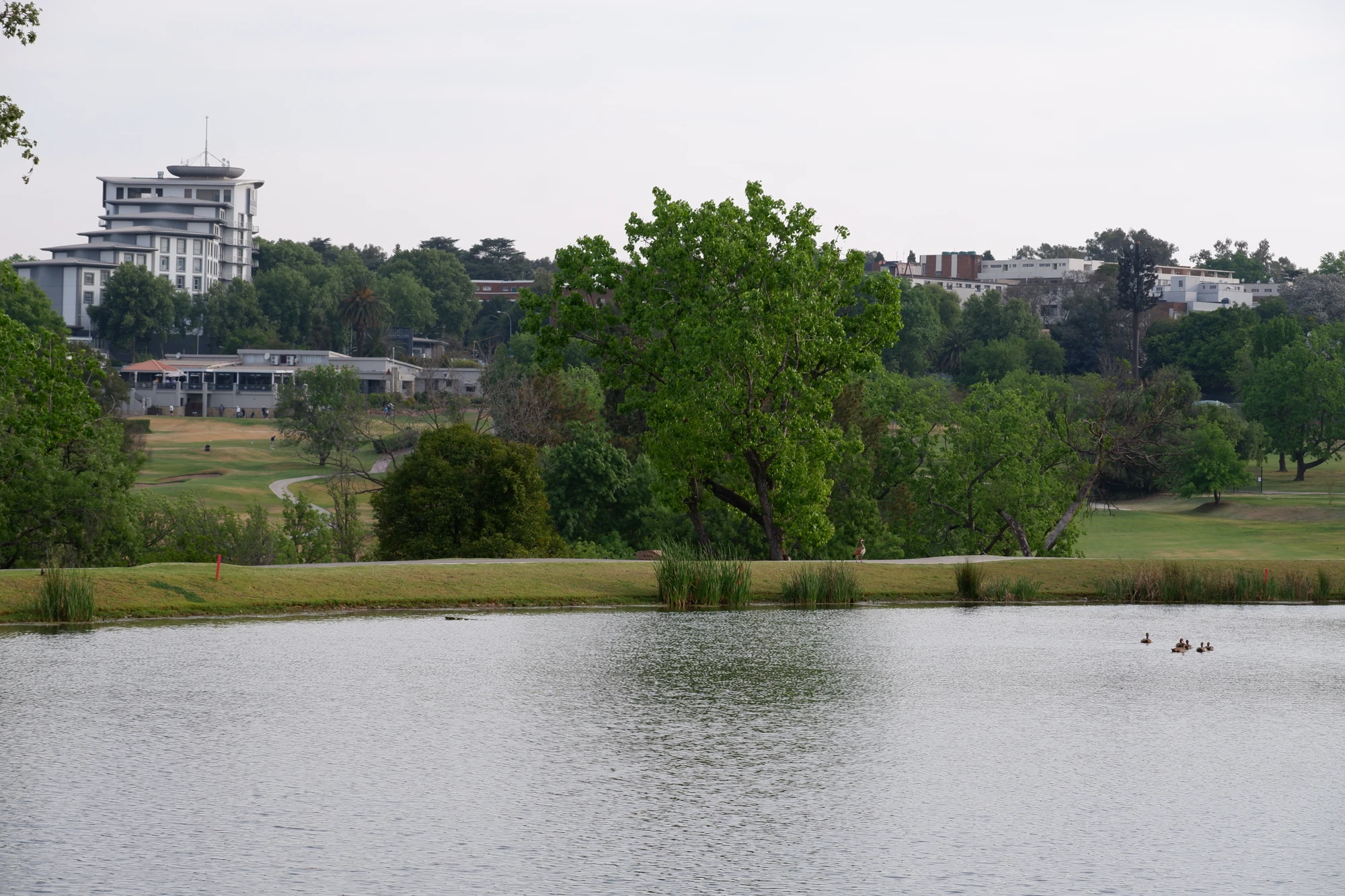 Esca Lakeside Park With Ducks