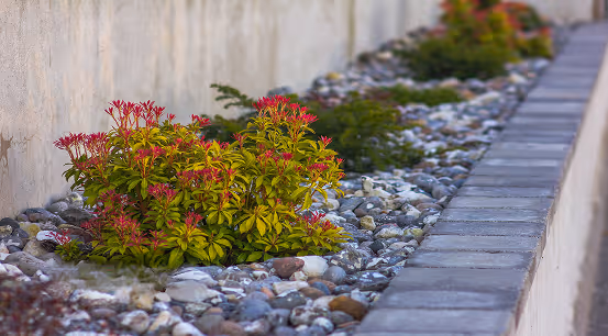 Pflanzen mit roten Blüten wachsen zwischen grauen Steinen entlang einer Steinmauer.