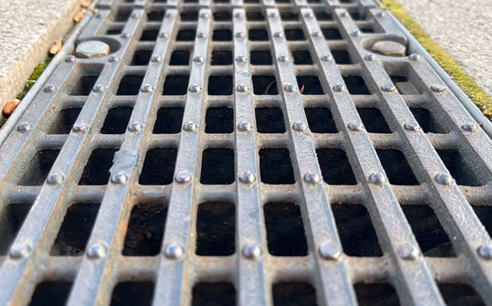 Nahaufnahme eines Metallgitterrosts auf einem Gehweg mit Betonrand und Moos im Hintergrund.
