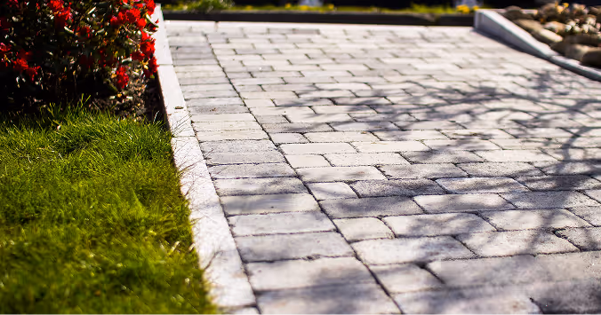 Gepflasterter Gehweg mit Schatten von Ästen, daneben grüner Rasen und rote Blumen.