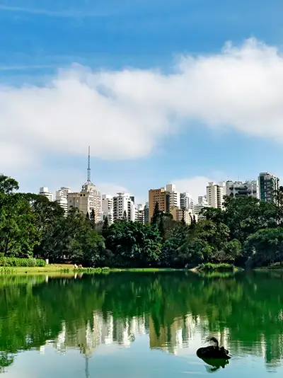 Imagem localização