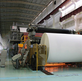 image of pet adoption paperwork