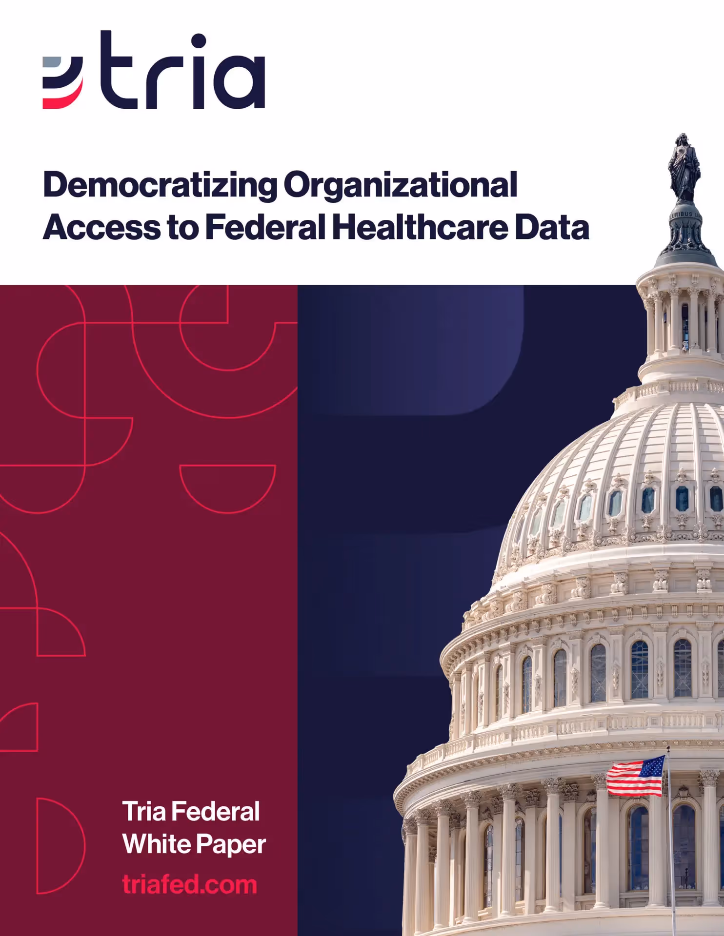 Cover of Tria Federal white paper titled 'Democratizing Organizational Access to Federal Healthcare Data' featuring the US Capitol dome with an American flag.