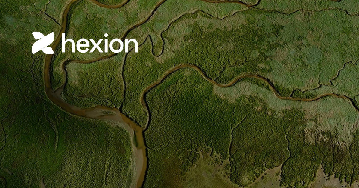 Hexion logo