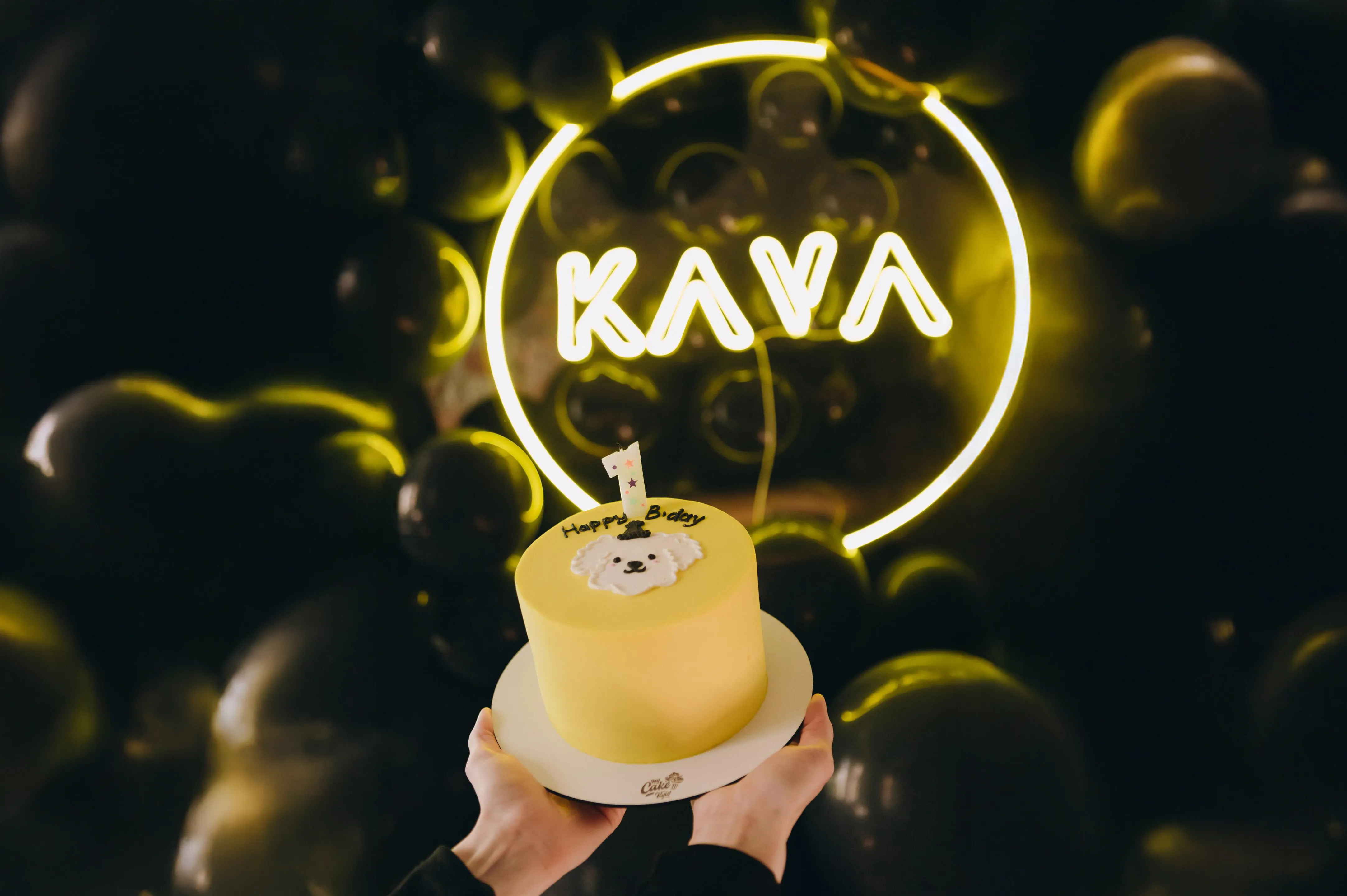 Festive 1-year anniversary photo at Kava: hands holding a yellow-cake topped with white dog face and "1" candle on white plate, centered against dark balloon wall backdrop illuminated by large glowing yellow circular "KAVA" neon sign, black balloons surrounding.
