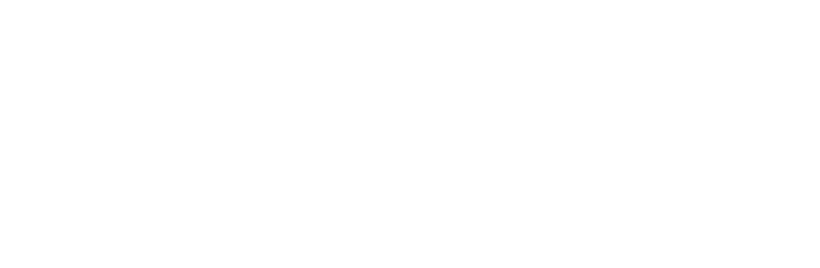 Black text reading 'Full Disclosure Films' with a distressed typewriter-style font on a white paint stroke background.