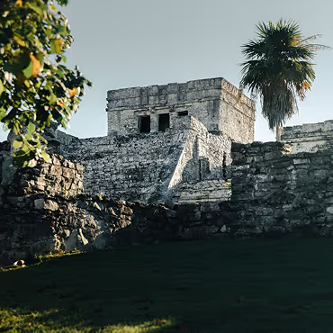 Ancient stone ruins with a palm tree and leafy branches against a clear sky.